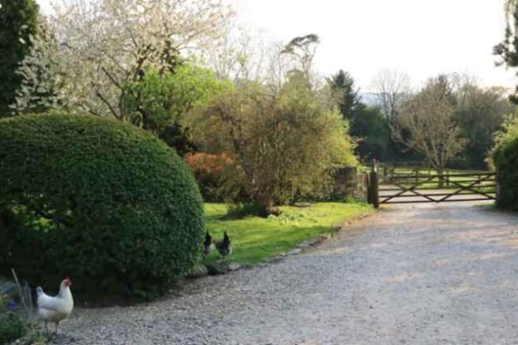 Stunning Stone Cottage On Bath'S Doorstep Box (Wiltshire) Exterior foto